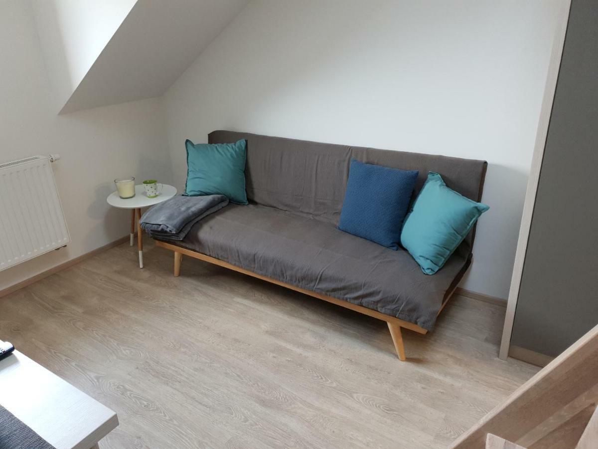 Apartman Pod Medvedi Horou Loučná nad Desnou Eksteriør billede