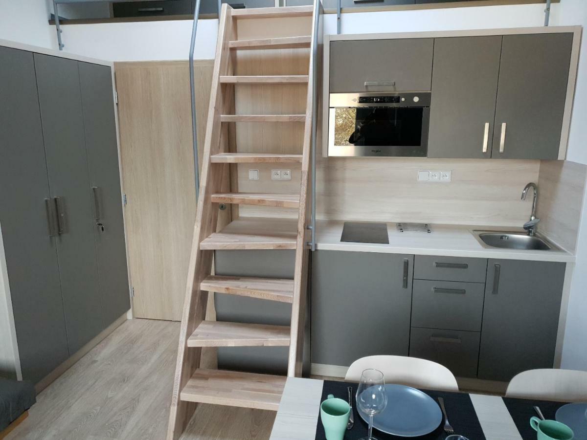 Apartman Pod Medvedi Horou Loučná nad Desnou Eksteriør billede