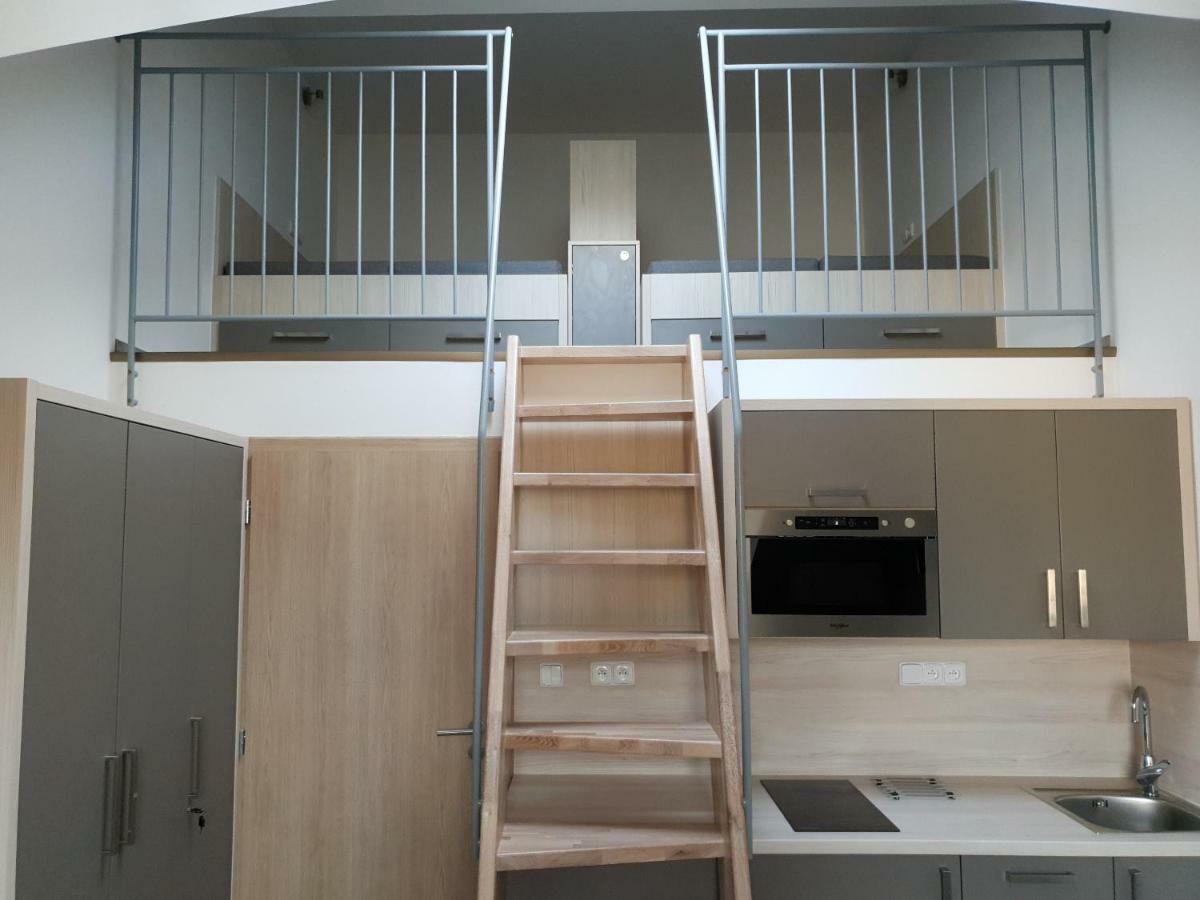 Apartman Pod Medvedi Horou Loučná nad Desnou Eksteriør billede