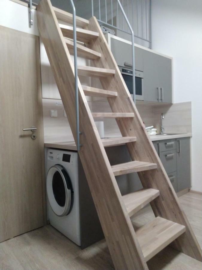 Apartman Pod Medvedi Horou Loučná nad Desnou Eksteriør billede