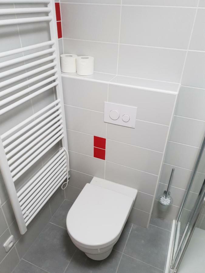 Apartman Pod Medvedi Horou Loučná nad Desnou Eksteriør billede
