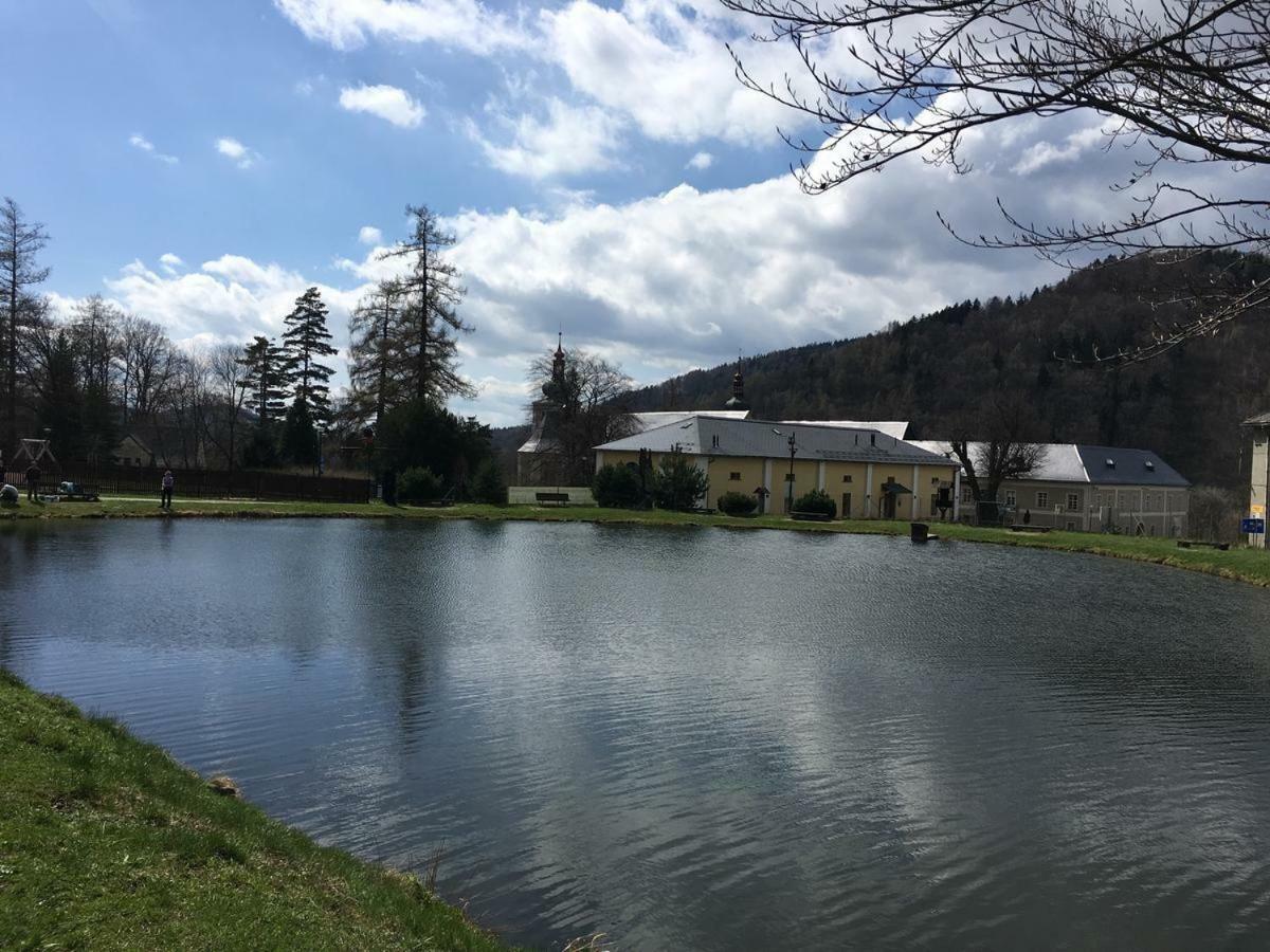 Apartman Pod Medvedi Horou Loučná nad Desnou Eksteriør billede