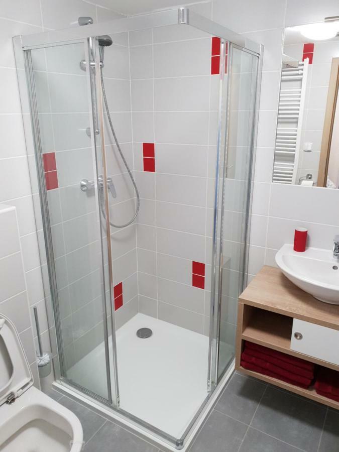 Apartman Pod Medvedi Horou Loučná nad Desnou Eksteriør billede
